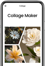 Image Background Changer - Image 1